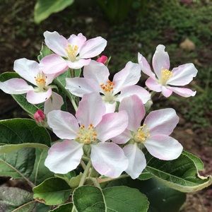 Meet your Posher, Yuanmei